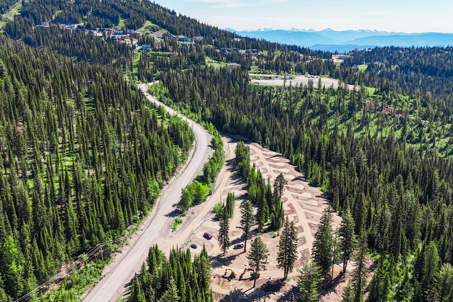 Mountain road winding through a dense evergreen forest on a sunny day.