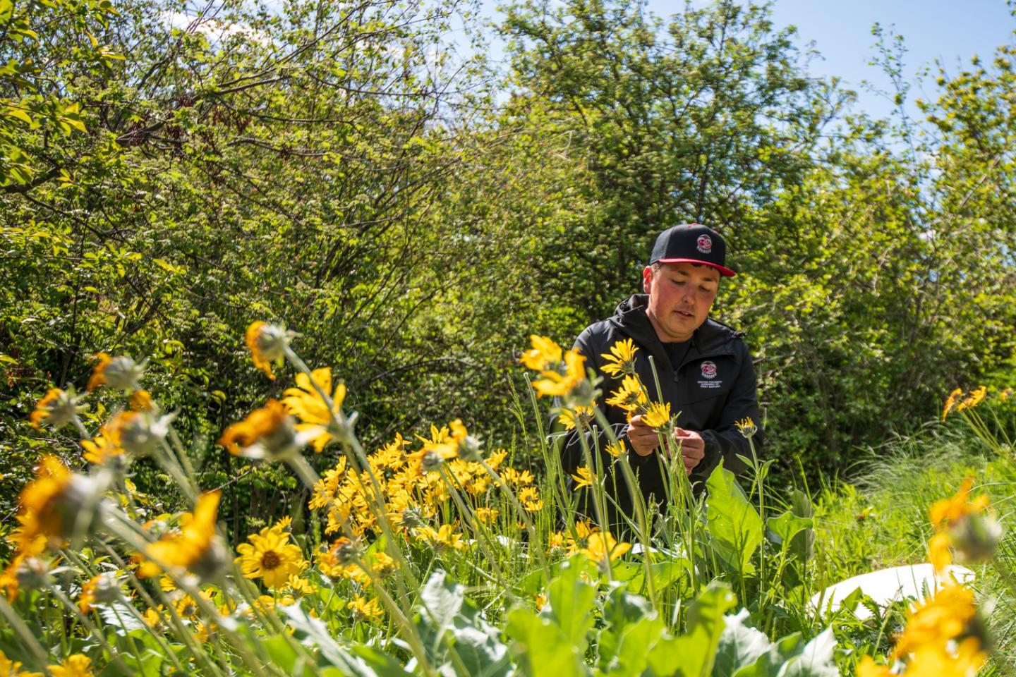 Kalamalka Indigenous Garden