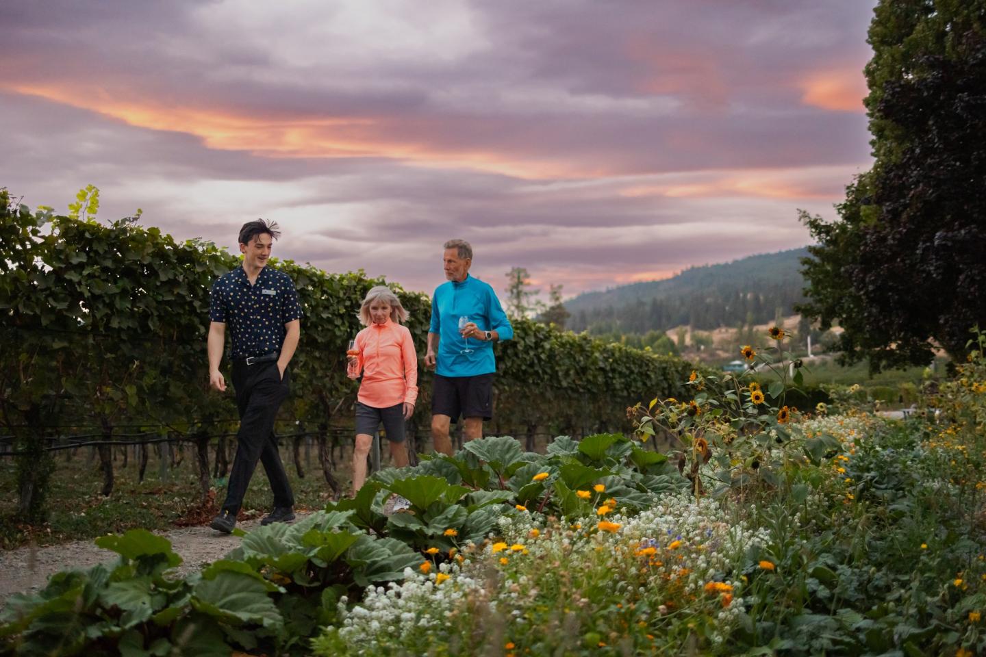 couple walking through vineyard