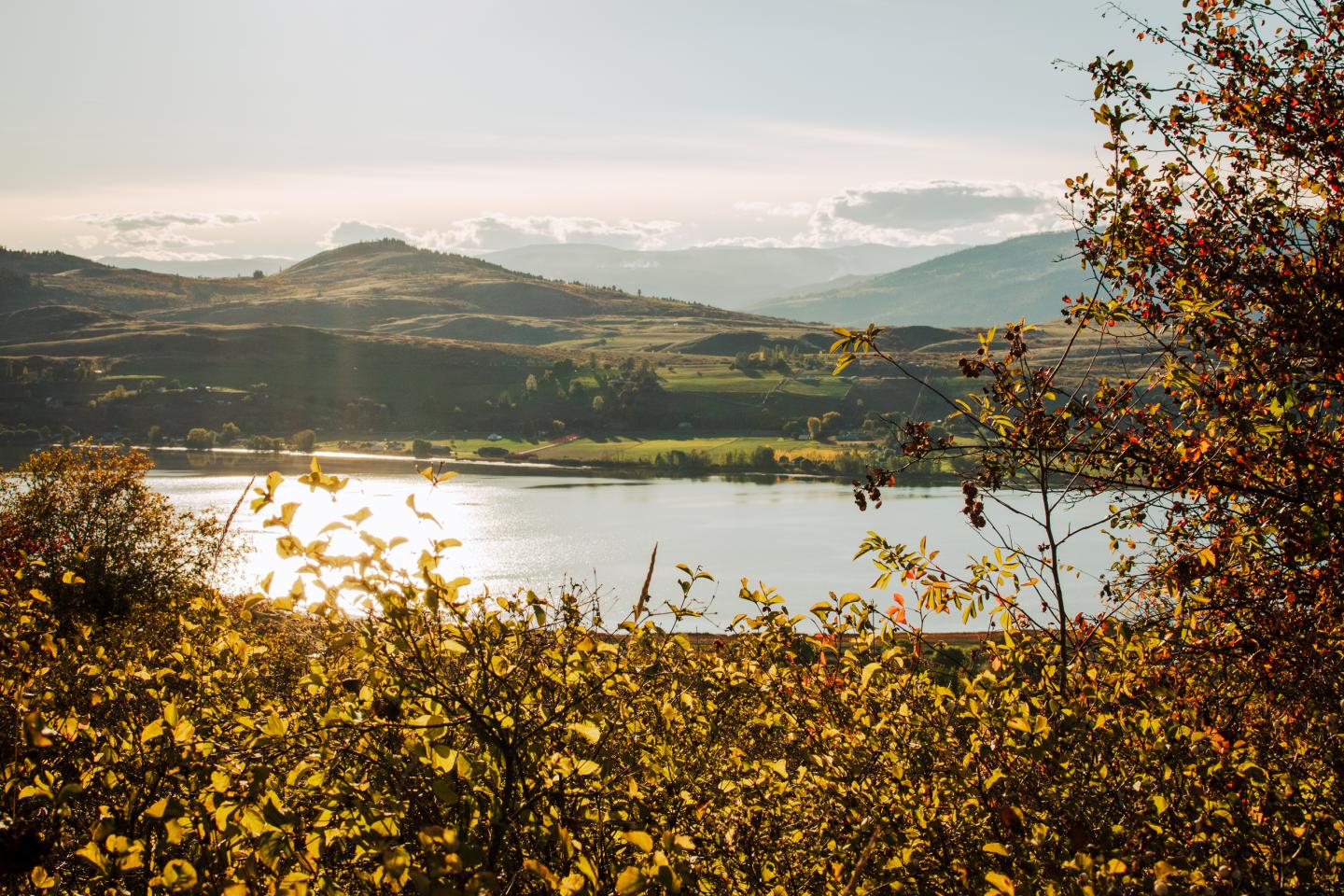 view of lake in fall