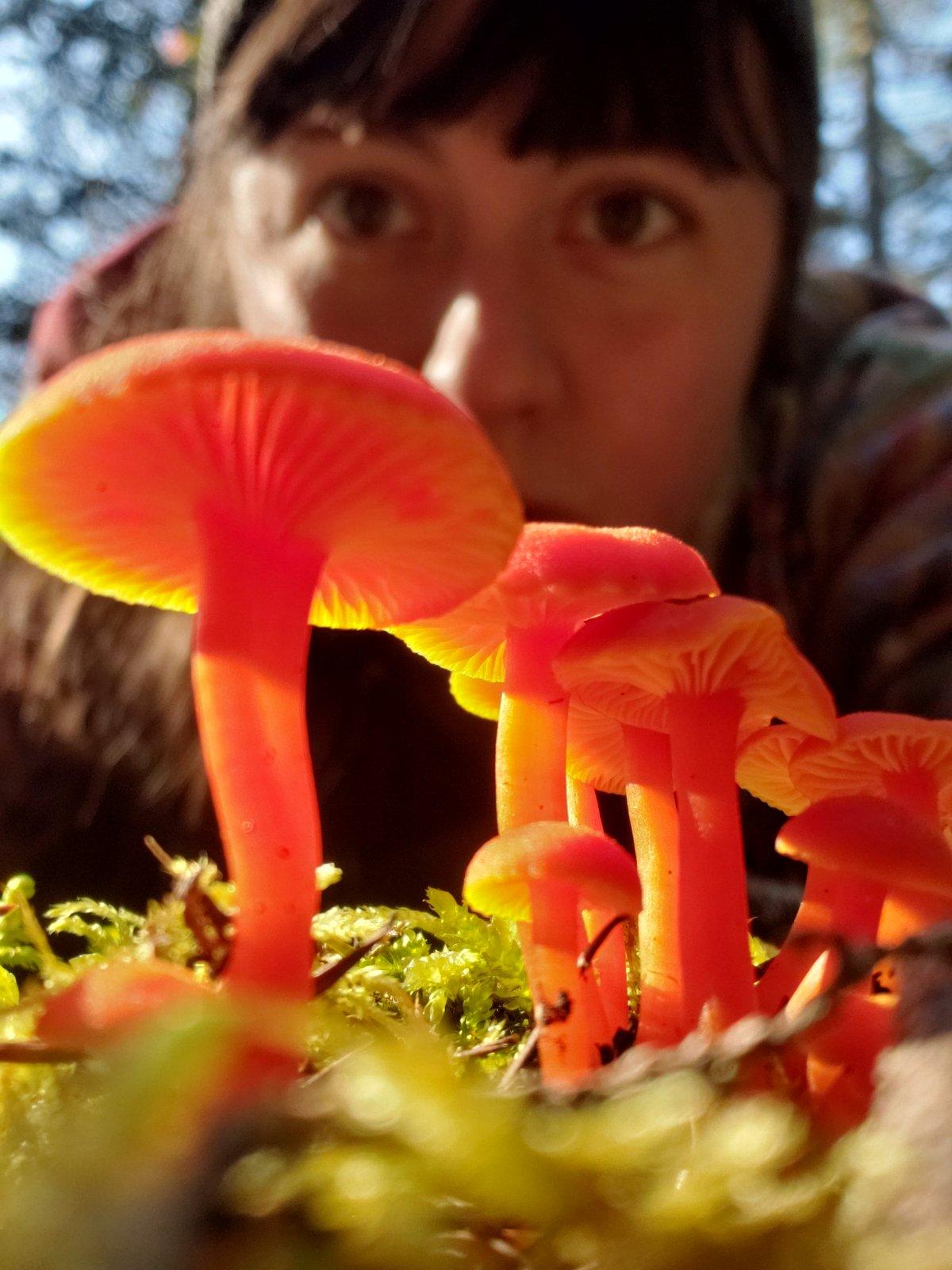 Girl looking at wild mushrooms