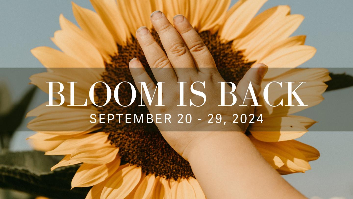 Bloom Sunflower Festival Event Poster