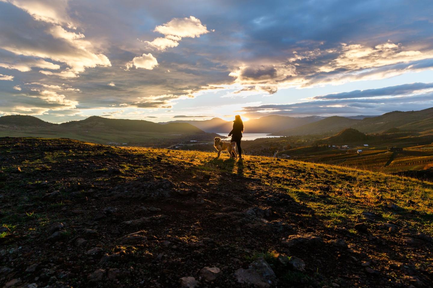 woman and dog hiking at sunset at a viewpoint