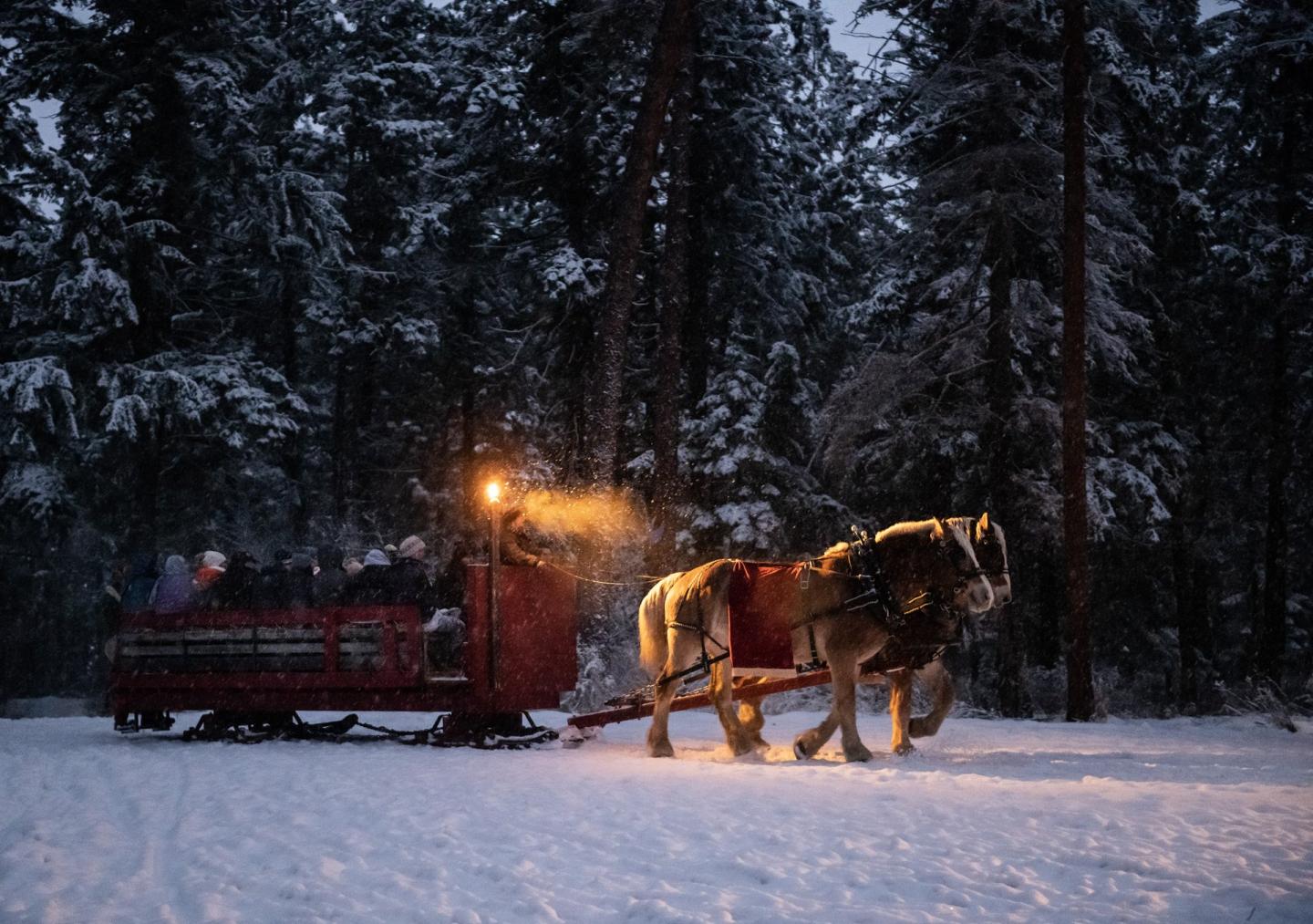 Caravan Farm Theatre Sleigh Rides