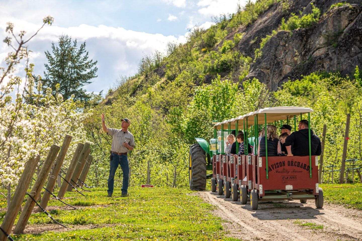 tour guide showing blossoms on orchard trees to guests in tractor carts