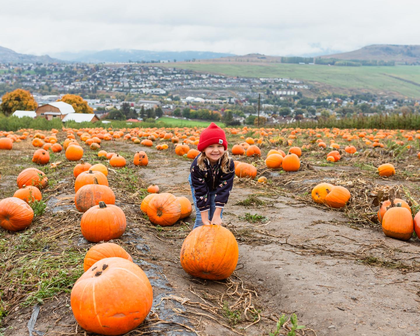 Child in a pumpkin patch with a city and hills in the background.