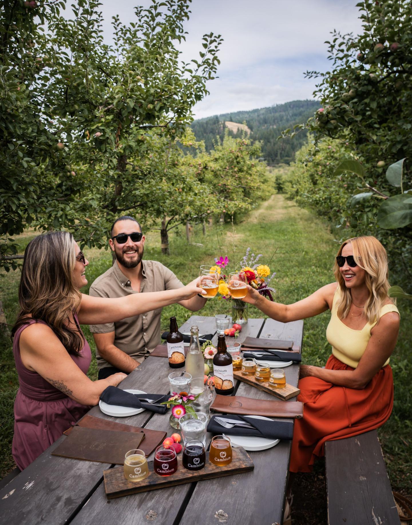 Three friends toast with drinks at an outdoor table in an orchard.