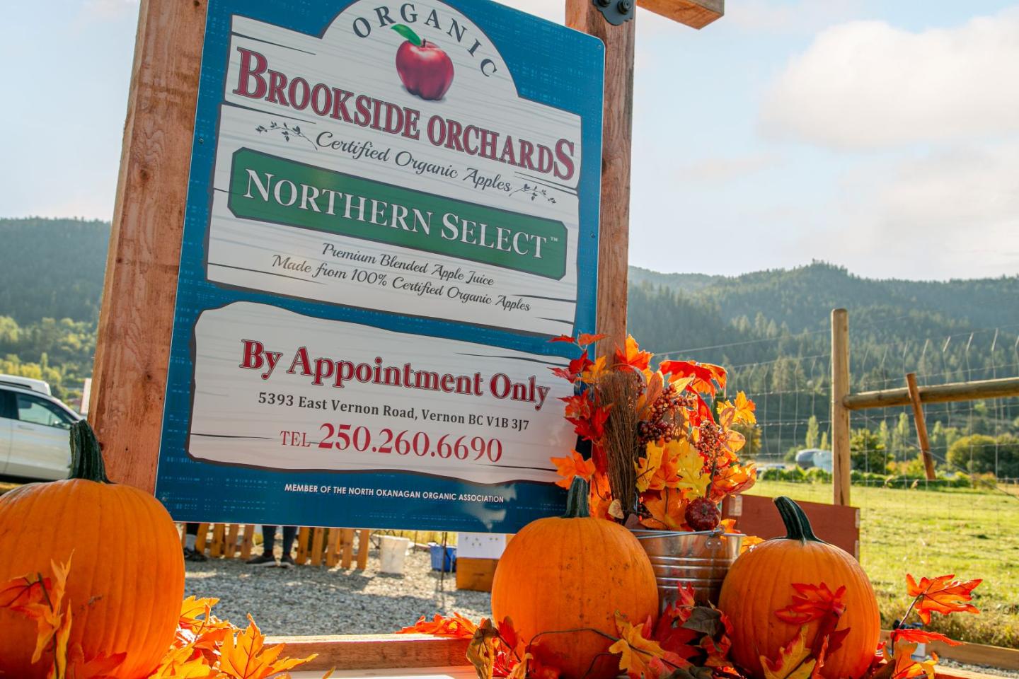 Orchard sign with pumpkins and autumn leaves in sunny rural setting.