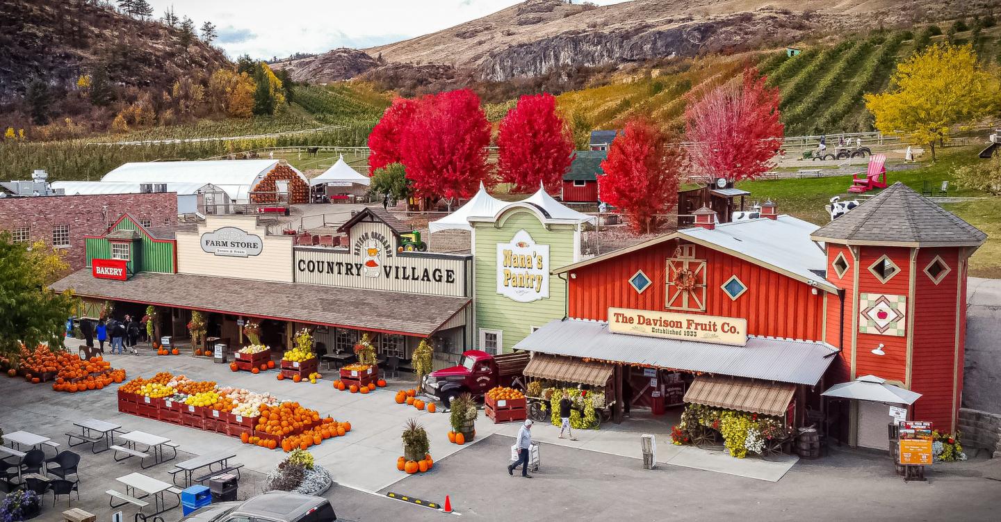 Farm store with pumpkins and red trees beside rolling hills and vineyards.