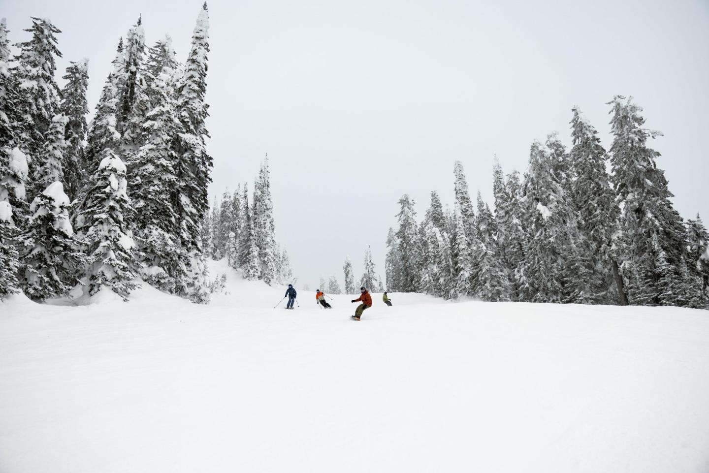 Skiers glide down a snowy slope, surrounded by snow-covered trees.