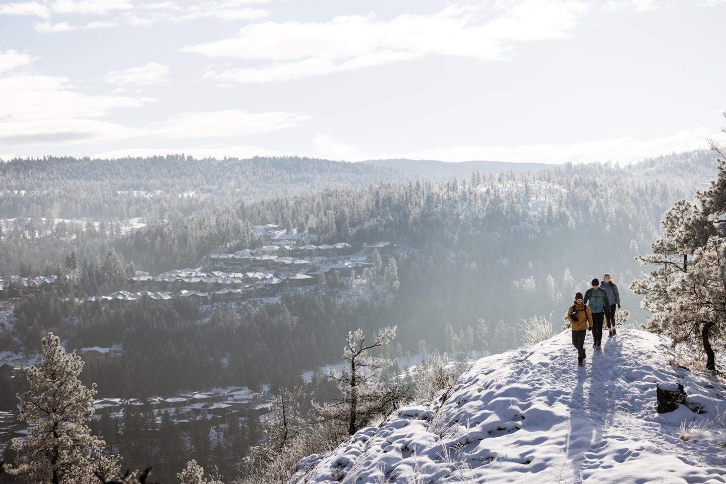 three people on a snowy path by a forest.