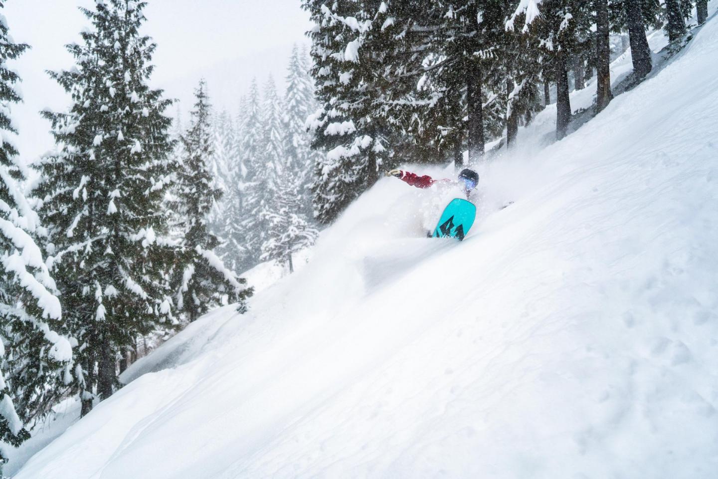 Snowboarder descending a snowy slope among trees.