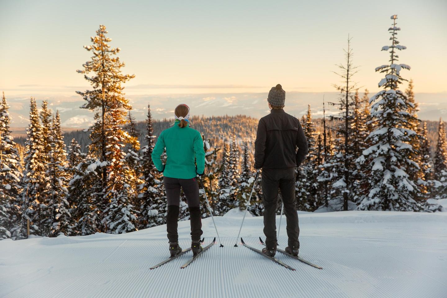 Two skiers facing a snowy landscape with tall trees at sunrise.